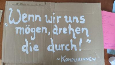Demoschild aus brauner Pappe auf dem in handschriftlichen, weißen Lettern steht: "Wenn wir uns mögen, drehen die durch! - Komplizinnen"